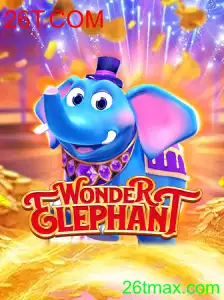 WonderElephant